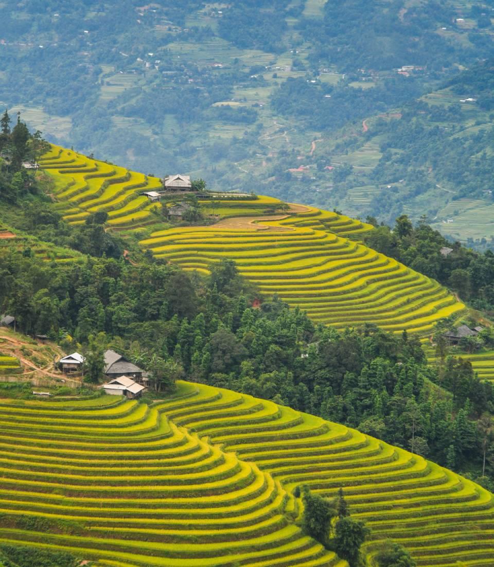 Ruộng bậc thang Hoàng Su Phì mỗi thời điểm lại khoác lên mình một nét đẹp riêng đủ để chinh phục trái tim người du khách ngay từ lần đầu ghé đến.